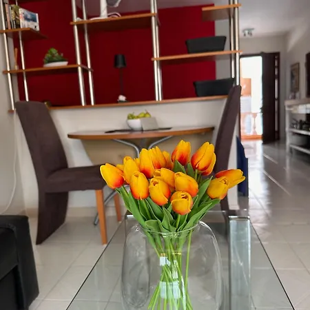 Apartmán Ocean View 530 Costa Adeje (Tenerife)